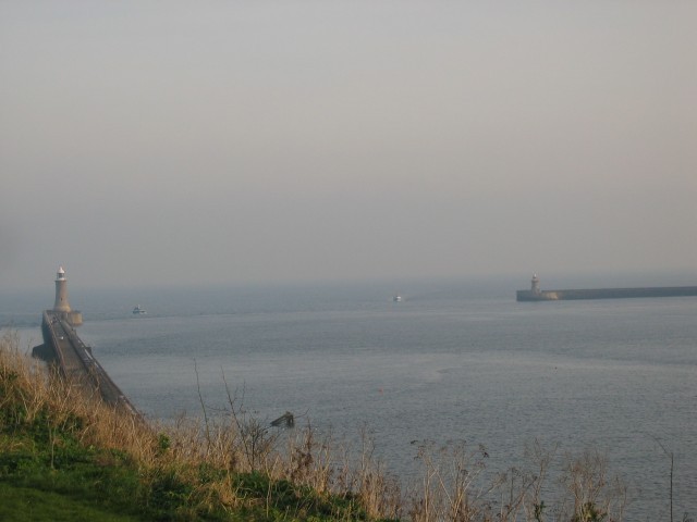 Die direkte Mündung der Tyne