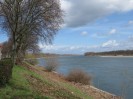 135_Rhein