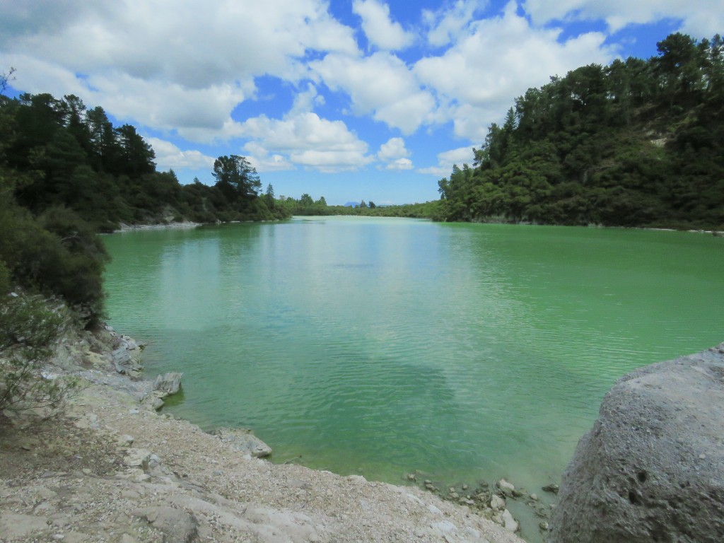 NZ: Wai-o-Tapu - Lake Ngakoro