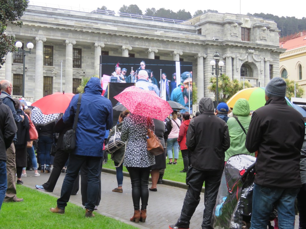 NZ: Wellington Demonstration