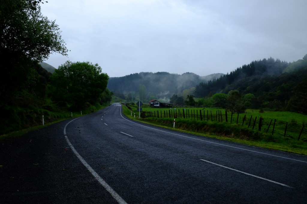 NZ: State Highway 4, Nebel 6