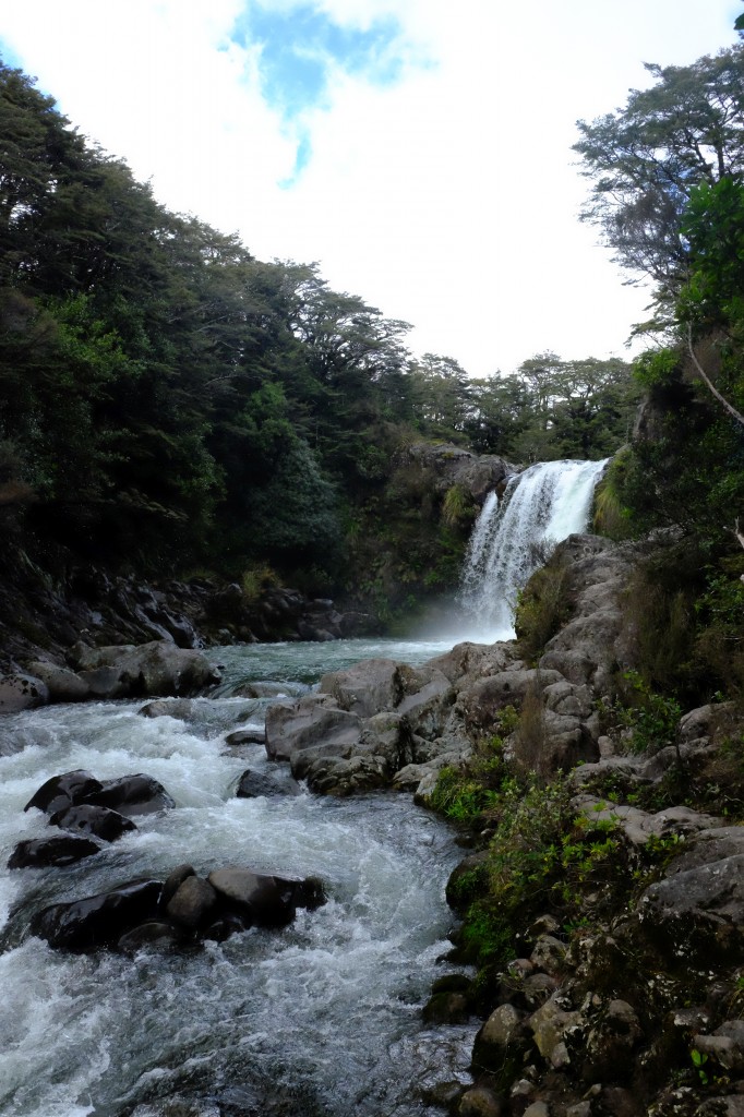 NZ: Tawhai Falls 5