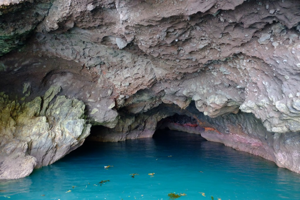 NZ: Akaroa Delfin Tour 5 - Höhle