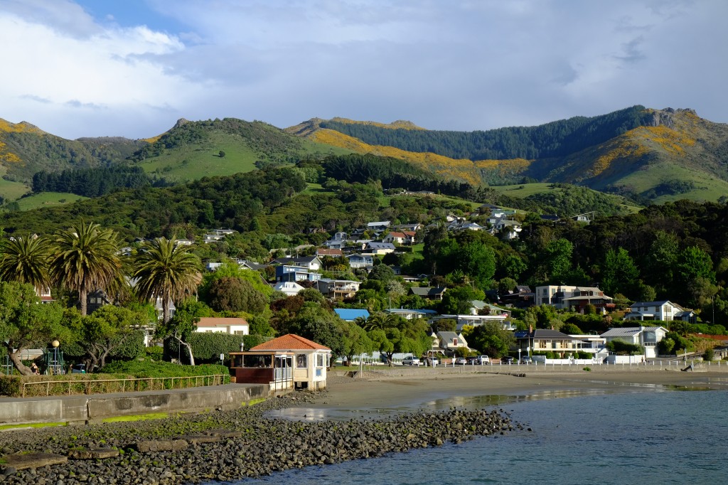 NZ: Akaroa - Küste 3