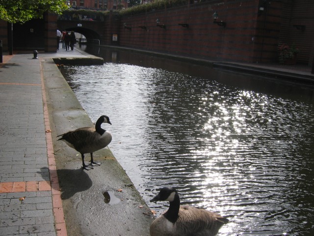 am Kanal 1