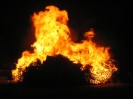 Bonfire