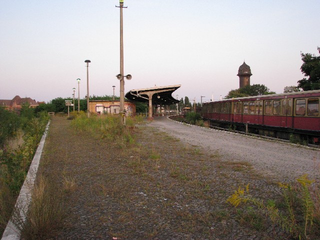 Vegatation am Bahnsteig