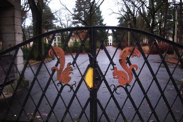 Eichhörnchen am Tor