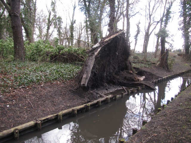 Treptower Park - Herausgerissenes Ufer 2