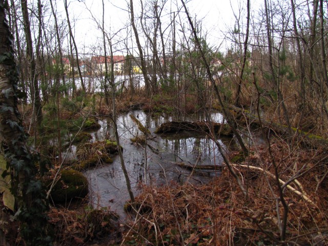 Blick auf den Kalksee 9