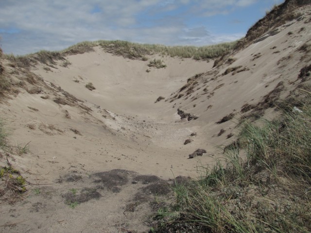 Sanddüne