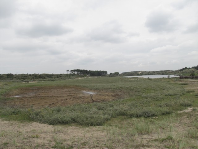 Nationalpark Zuid-Kennemerland