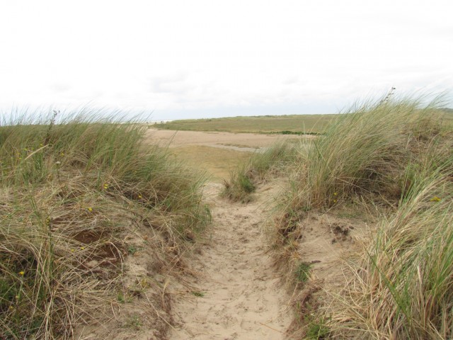 Düne in Oye-Plage