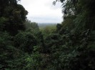 Ausblick vom Teufelsberg in Richtung Wannsee