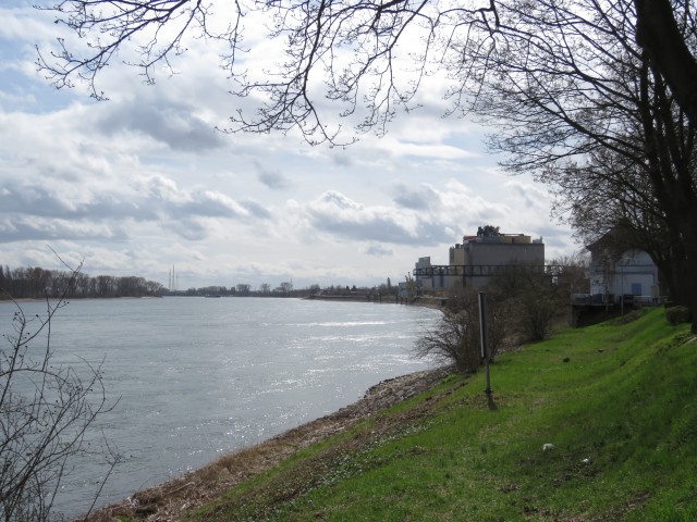 134_Rhein