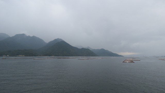 IMG_5039