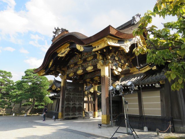 Kyoto - Nijo Castle 3