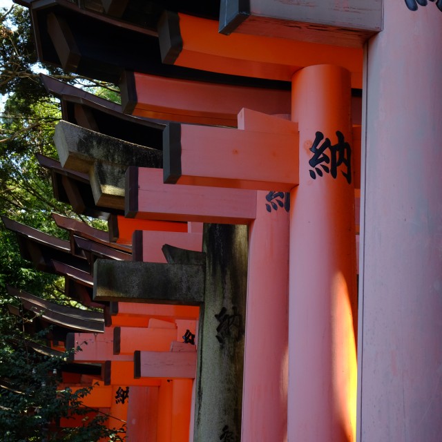 Inari - Shrine 2