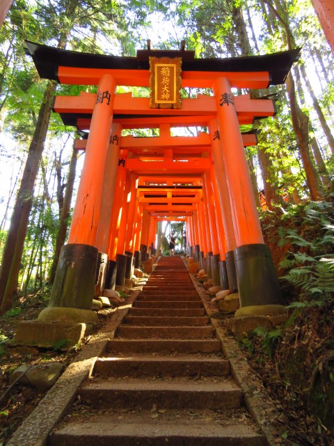 Inari - Shrine 4