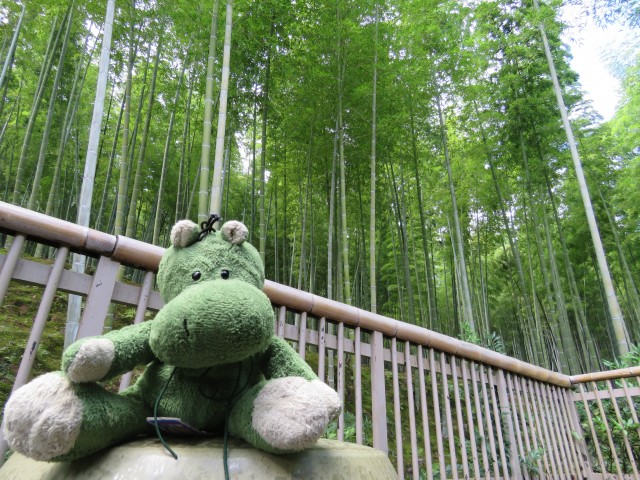 Bamboo Garden 4