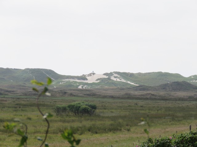 Skaninavien - Dünenlandschaft