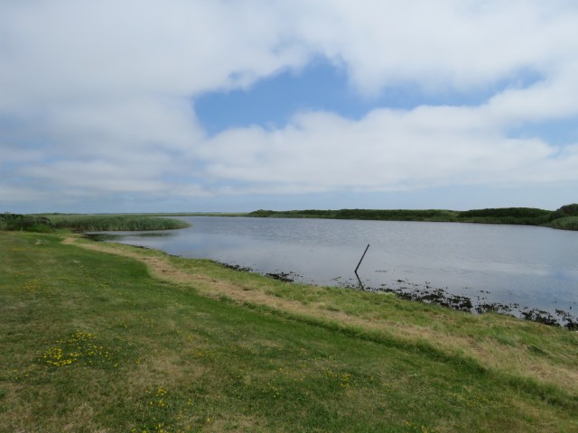 Skaninavien - Blick auf einen See