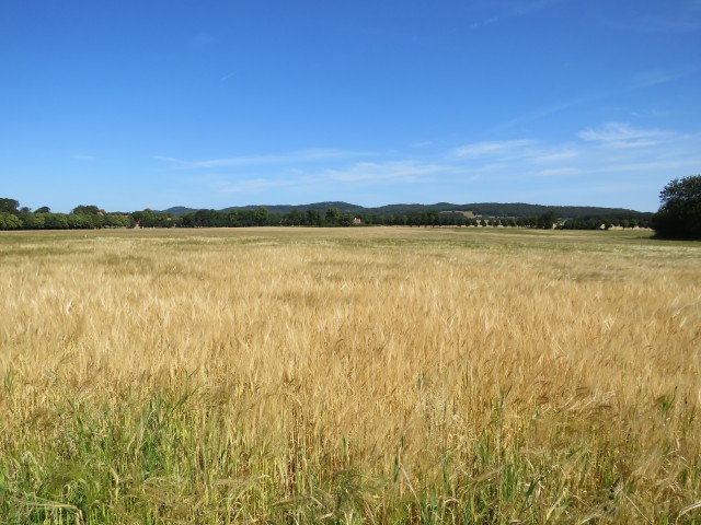 Skaninavien - Hügel bei Mölle