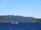 IMG_339