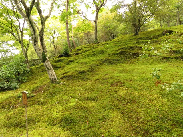 Arashiyama - Garten 2