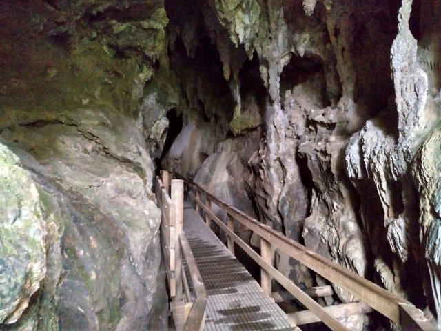 NZ: Kawiti-Caves