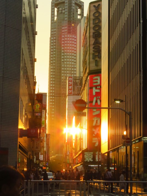 Tokio - Abendrot in Shinjuku 2