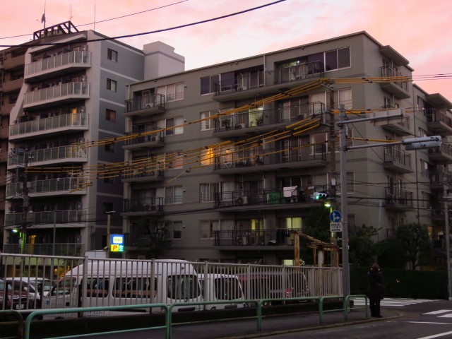 Tokio - Koto 3