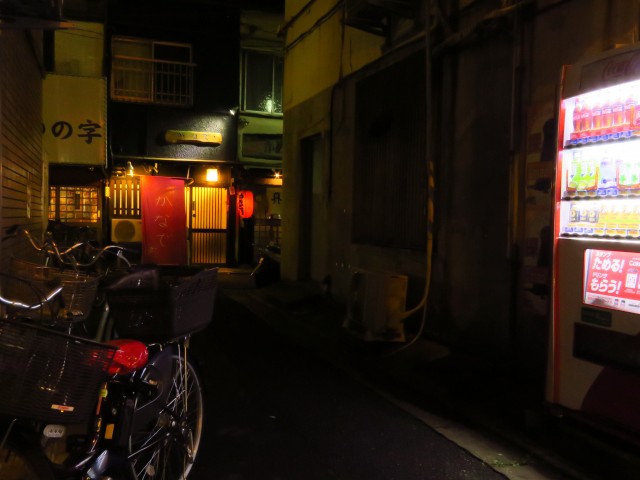 Tokio - Koto nach Suminda bei Nacht 1