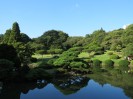 Tokio - Shinjuku Gyoen Park 1