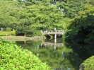 Tokio - Shinjuku Gyoen Park 2