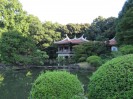 Tokio - Shinjuku Gyoen Park 3