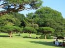 Tokio - Shinjuku Gyoen Park 4