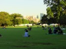 Tokio - Shinjuku Gyoen Park 8