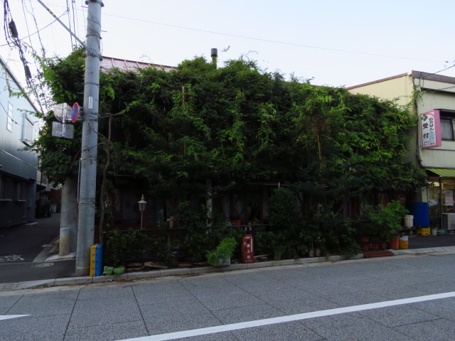 Tokio - Yanaka Ginza 11