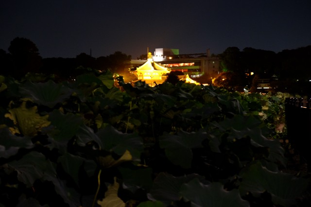 Tokio: Shinobazunoike Bentendo Temple 3