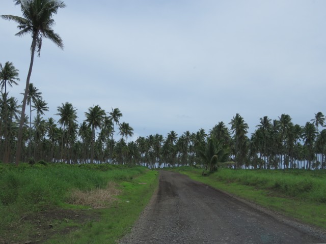 Taveuni: Gravel Roads 3