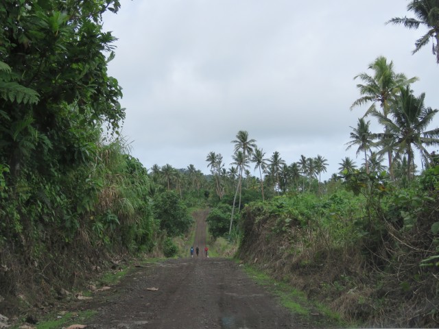 Taveuni: Gravel Roads 4