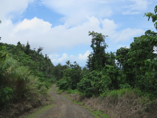 Taveuni: Gravel Roads 5