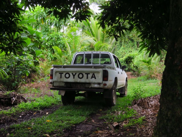 Taveuni: Bobbys Farm 15 (Toyota)