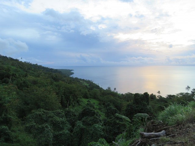 Taveuni: Rückfahrt 2