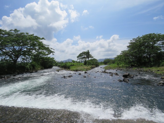 Taveuni: Lavena Coastal Walk 3