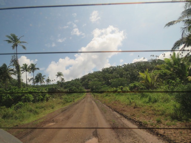 Taveuni: Lavena Coastal Walk 4