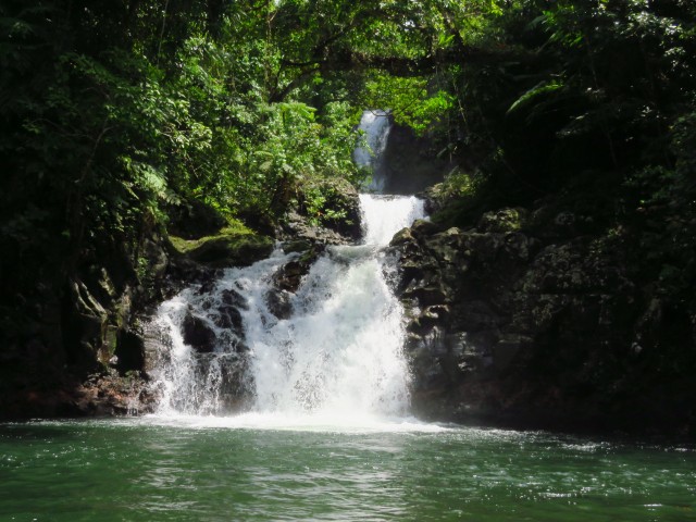 Taveuni: Wasserfall 1