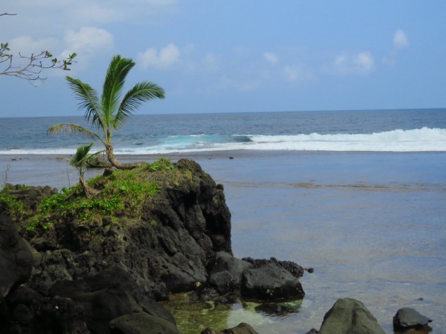 Taveuni: Lavena Coastal Walk 8