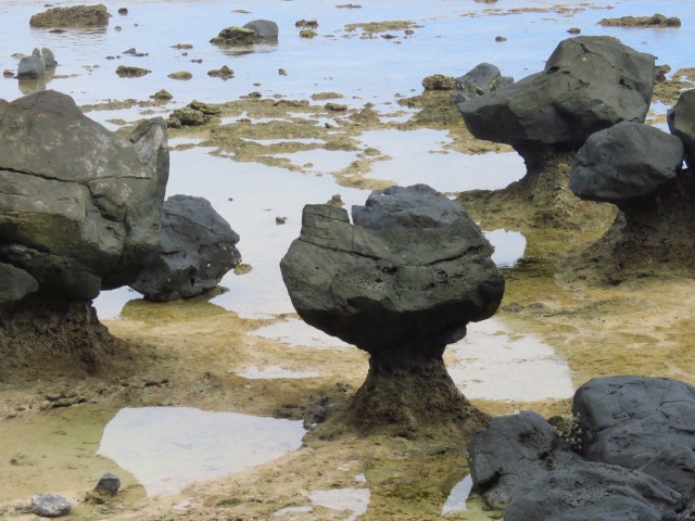 Taveuni: Lavena Coastal Walk 9